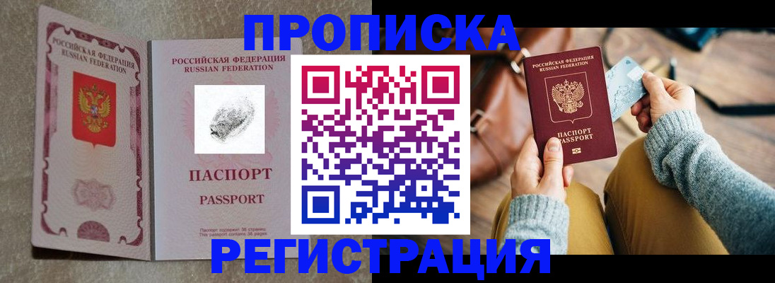 прописка поиск в Ельне